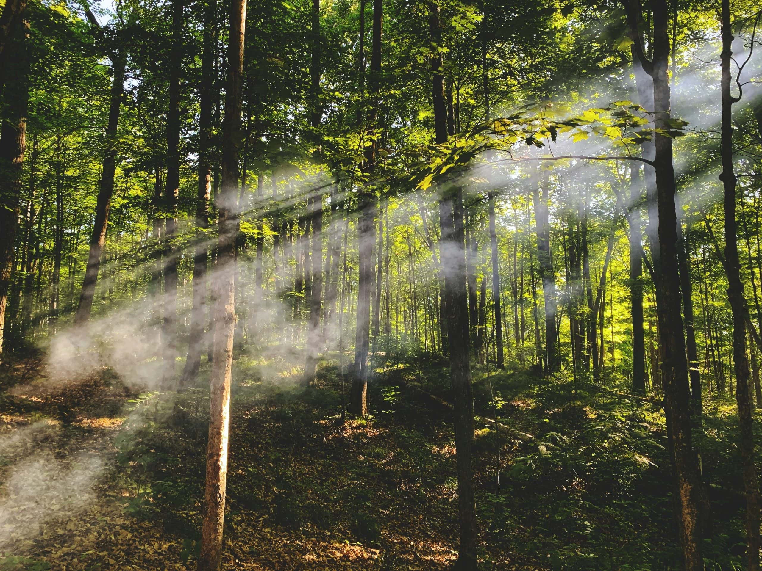 Spirituelles Erwachen: 5 Hinweise – und warum es nicht Erleuchtung ist.